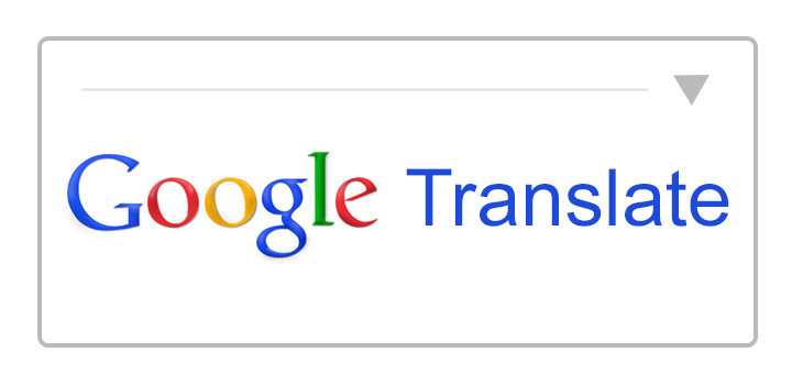 Google Translate Widget