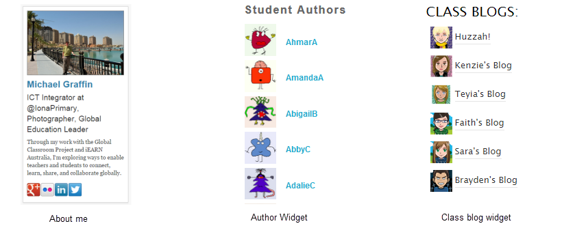 authors widget