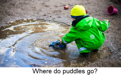 Where do puddles go