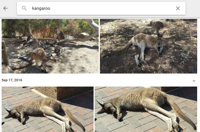 Search term