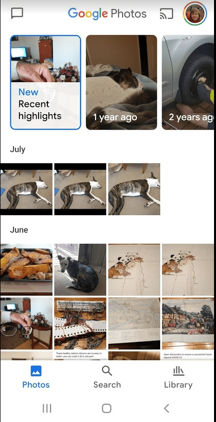 Google Photos photo tab screenshot