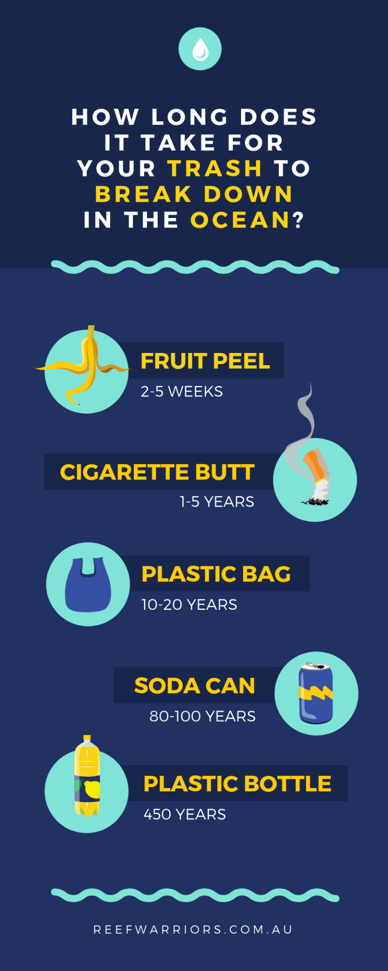 Canva In The Classroom Getting Started Example Designs And Tips Canva in the classroom getting started example designs and tips